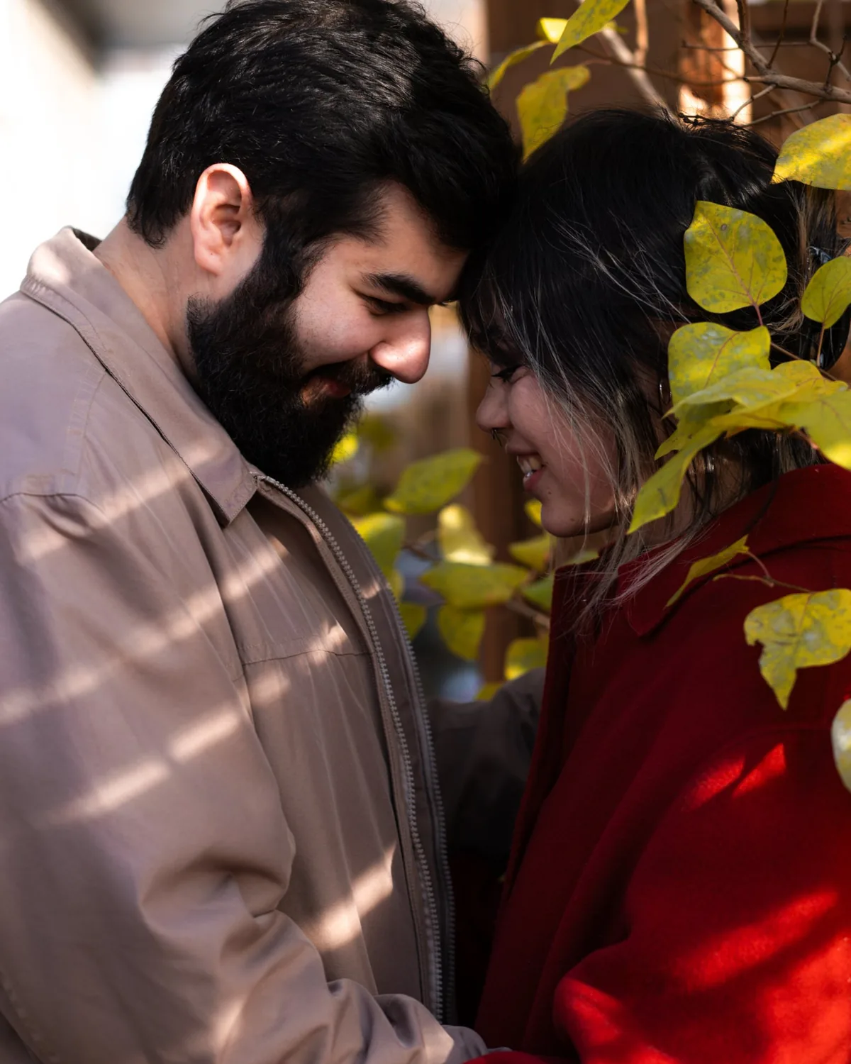 A couple touching foreheads and smiling under yellow fall leaves